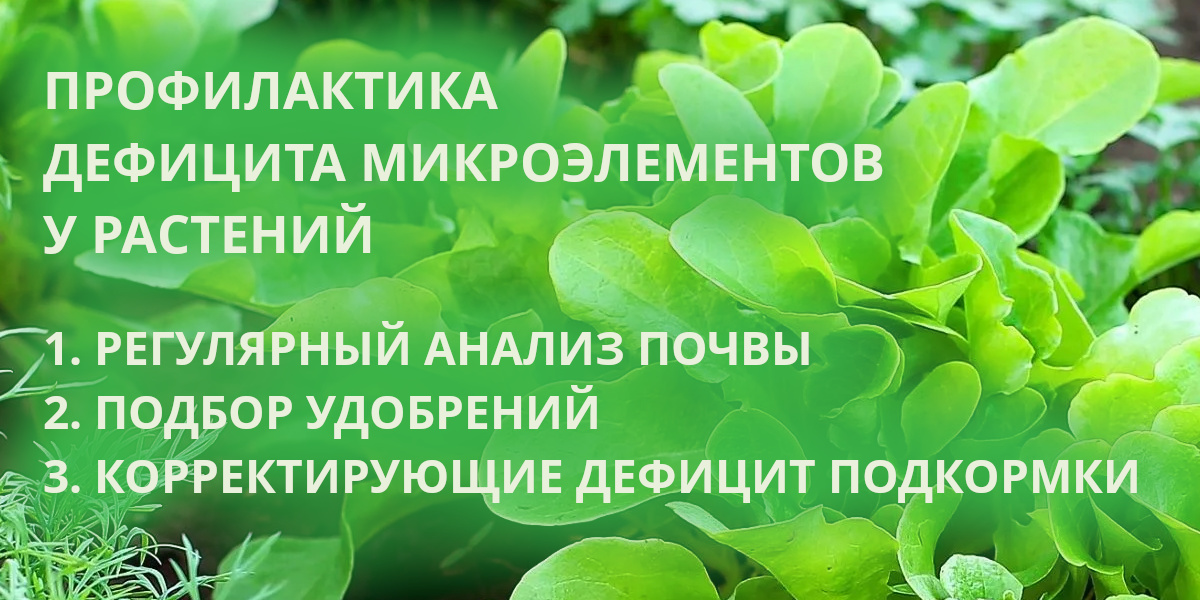 55728_04.jpg 55728_04.jpg